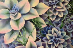 Rainbow Succulents 30" x 40"